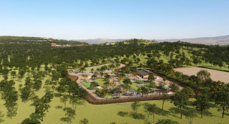 5-JS-Horse-Resort-Campinas-Projeto-Debora-Bz-Brandao-Design-Imagens-Studio-17-NJ