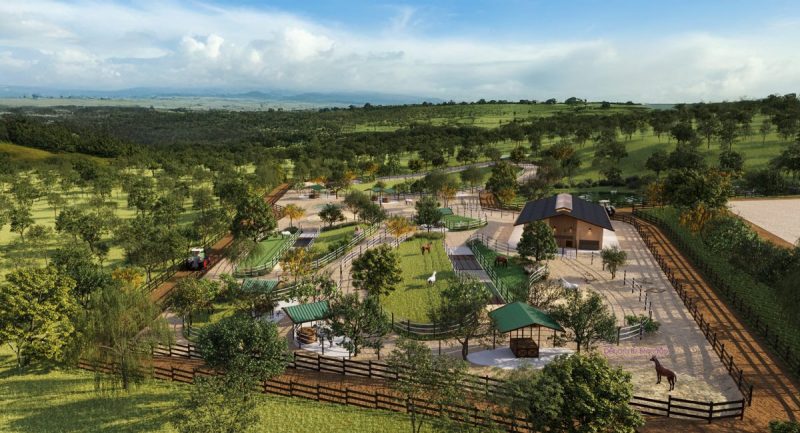 6-JS-Horse-Resort-Campinas-Projeto-Debora-Bz-Brandao-Design-Imagens-Studio-17-NJ