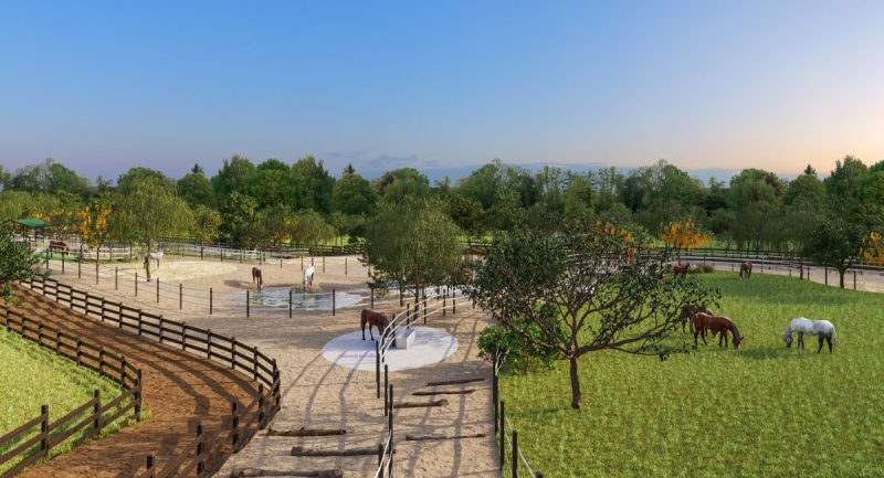 7-JS-Horse-Resort-Campinas-Projeto-Debora-Bz-Brandao-Design-Imagens-Studio-17-NJ