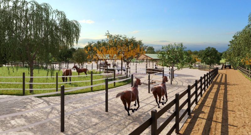 9-JS-Horse-Resort-Campinas-Projeto-Debora-Bz-Brandao-Design-Imagens-Studio-17-NJ
