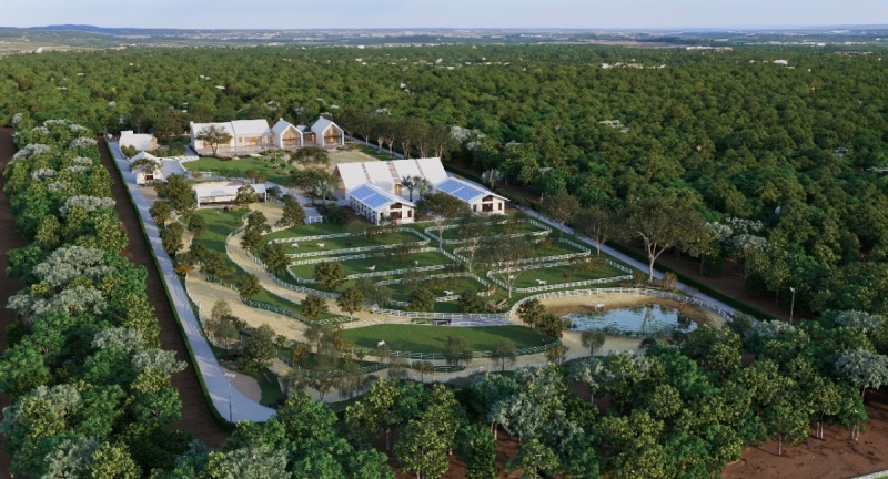 Modern-Farmhouse-Haras-Cavalos-Debora-Bz-Brandao-Design-Equestre-masterplan-perspectiva-004