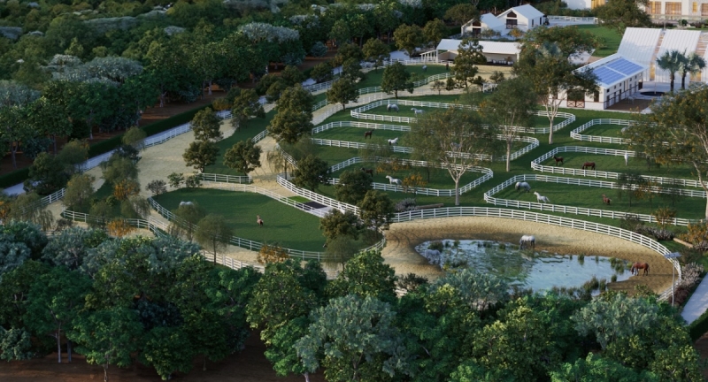 Modern-Farmhouse-Haras-Cavalos-Debora-Bz-Brandao-Design-Equestre-masterplan-perspectiva-paddock-paradise-003