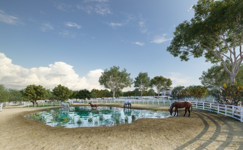 Modern-Farmhouse-Haras-Cavalos-Debora-Bz-Brandao-Design-Equestre-paddock-paradise-water-hole-lago-cavalos-001