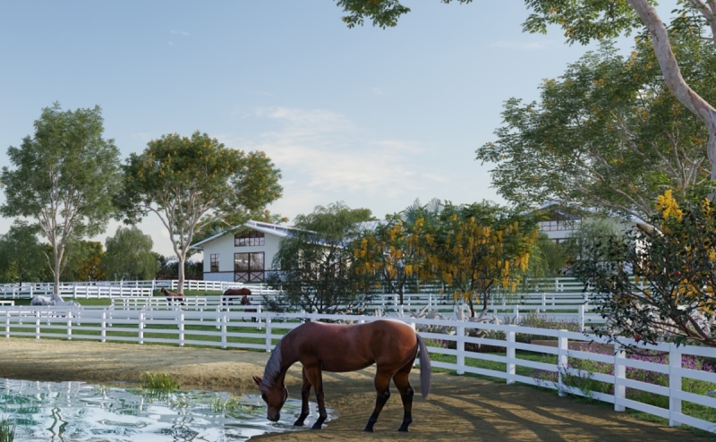 Modern-Farmhouse-Haras-Cavalos-Debora-Bz-Brandao-Design-Equestre-paddock-paradise-water-hole-lago-cavalos-003