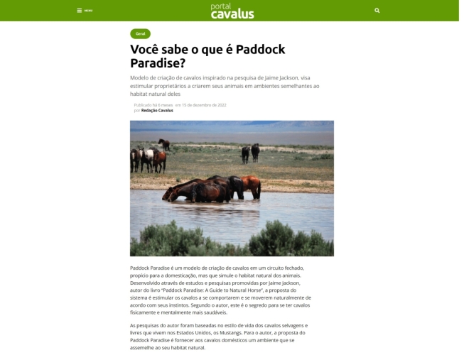 Voce-sabe-o-que-e-Paddock-Paradise -cavalus.com .br-1